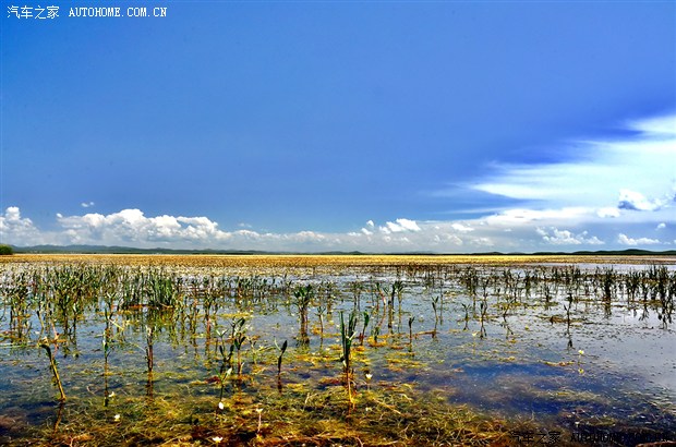 【图】成都到若尔盖草原 四川玩儿命自驾游