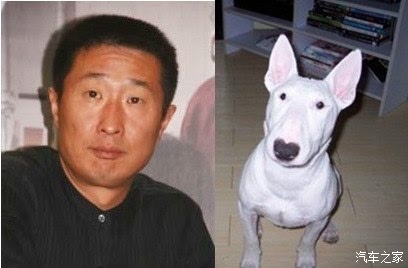 林永健:侬懂不啦? 牛头梗 :我不懂