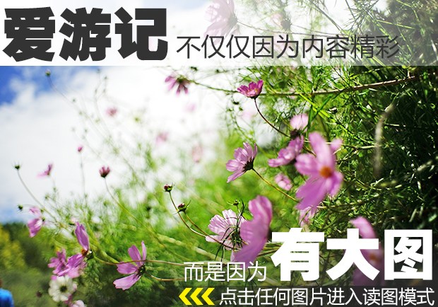 ca88亚洲城登陆 3