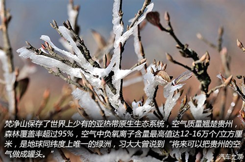 ֮