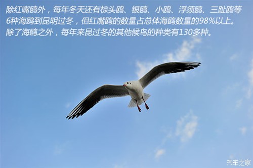 ֮