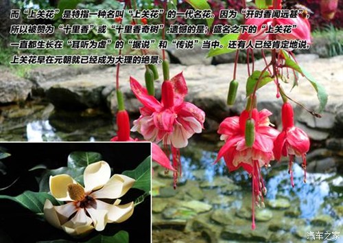 ֮