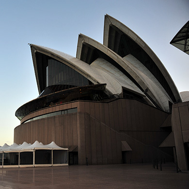 �Ĵ�����